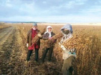 天南海北，一起来动筷