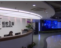 深扒“蚂蚁”，这只“吞金巨兽”为何被国家点名照顾？！