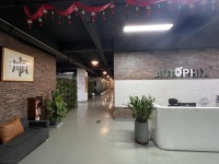 国内汽车诊断仪行业群雄鏖战，泰瑞谷市场占有率突破16%