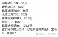 国产新能源车，哪里贵了？