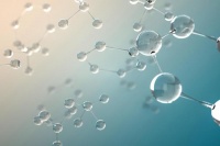 烟酰胺启示录：化妆品投资的本质是什么？