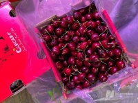 进口车厘子大降价，商贩：春节价格会更便宜