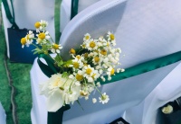 与死亡打交道的人