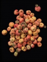 当身家千万的富二代确诊抑郁症