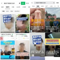 流量镰刀，砍向下行猪周期