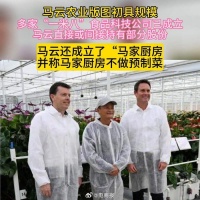马云退而不休多家一米八食品科技公司成立