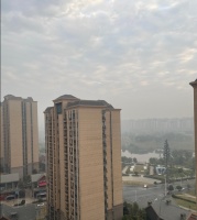 三个年底失业的游戏人