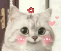 董明珠宣布将多发2亿年终奖