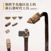 韩国，不让吃狗肉了