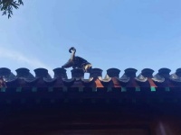 周末游乐场：一个以上班为“副业”的人