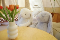 一个露营地，死于2023年