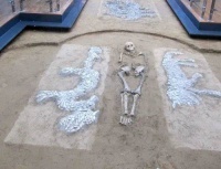 九龙踏春：重溯我们的精神源头