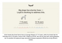 如果，一种药物能让小狗再多陪我几年