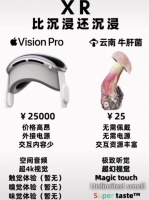苹果Vision Pro的两块屏幕，凭什么这么贵？