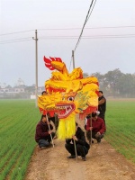 河南省霍庄村：一条龙的生意经