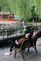 年轻人都在迎财神，谁还在过情人节