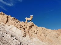 远离都市繁华的异域村庄，为何总是吸引游客前去拜访？