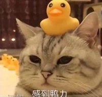 可以免费听遍全网音乐的工具，给大家找来了！