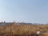 世界500强旗下企业陷停产危机，只剩员工20余人