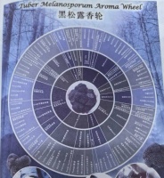 多少克拉的猪拱菌，才配上中产餐桌？