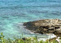 超20省份晒春节文旅成绩单，最大赢家是它