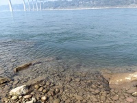 从长江变清了说起：2024年春节的三个感受