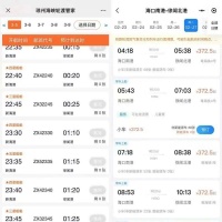黄牛加价数倍，离岛“一票难求”，新能源车主海南突围