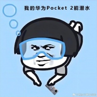 最近都在听大家谈论华为Pocket 2系列……