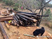 最舒适的友谊是什么样子