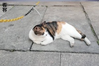 考研没考上，办考研机构翻身了