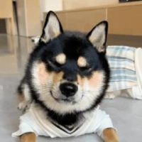 你的微信删好友原则是怎样的呢？