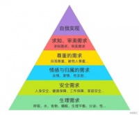 用物质来填充精神需求，是人类的共同危机