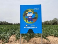 穿越折扣化“无人区”，盒马也有烦恼