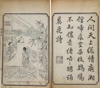 林黛玉做不了空降高管