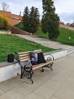 “走着去深圳北站”是骗人的，但傻白甜不该被嘲笑