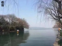 去游戏公司当假白领，工作是哄大佬开心