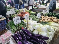 315，消费者除了打假还应该了解什么？