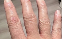 38岁创业失败，我从云南农场主变成深圳阿姨