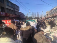 中药材暴涨卷土重来？市场“南热北冷”，业内预期趋谨慎