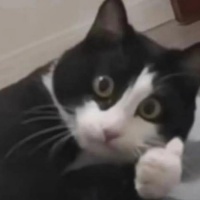 不花一分钱就能看遍全网！蓝光资源免费享，直接用到爽！