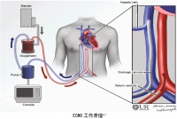 我们需要怎样的安宁疗护？