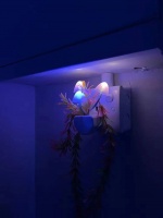 “花5000万办艺术展，为什么不请Taylor Swift来？”