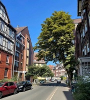 不去耶鲁，我在德国小城做科研