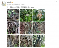 “我不管，今年金像奖影帝就是林保怡”