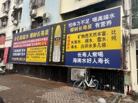 椰树换帅，还没找到新故事