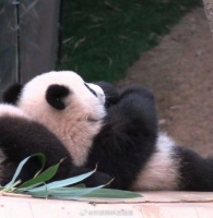 你会熬夜玩手机吗？