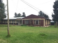 莽了点，我用三年拼出了下一个风口