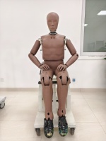 你的新车，假人先坐过