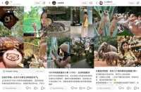 年轻人为什么爱上逛动物园？