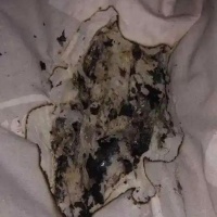 “切勿放枕头下”…官方警告，网友后怕：再也不敢了！